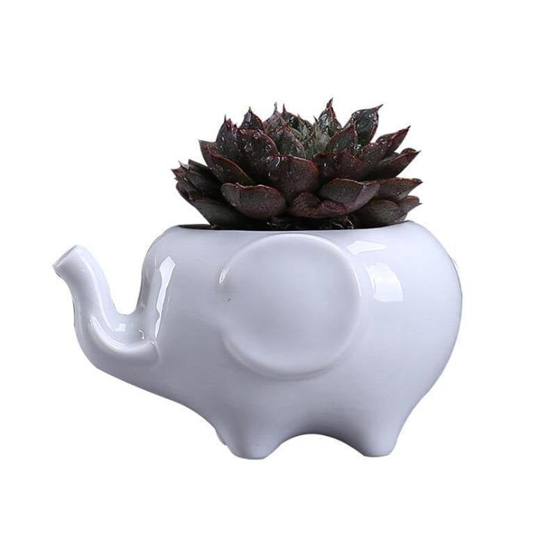 Ceramic Elephant Plant Holder